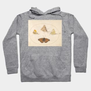 Orange Tip, Painted Lady, Southern Small White, and Small Tortoiseshell Butterflies Hoodie